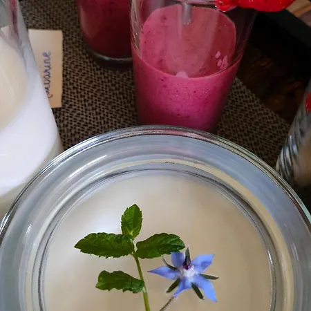 Bed & Breakfast Hammerhoeve *