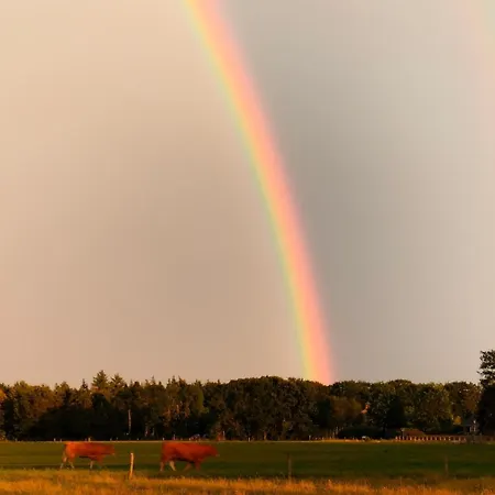 Hammerhoeve