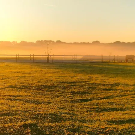 Hammerhoeve Couette-café Lunteren
