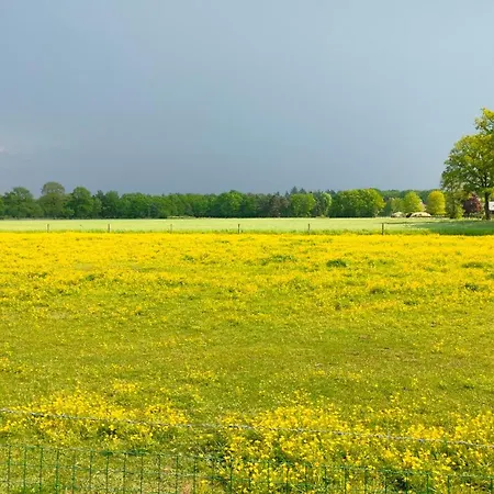 Hammerhoeve Bed & Breakfast *