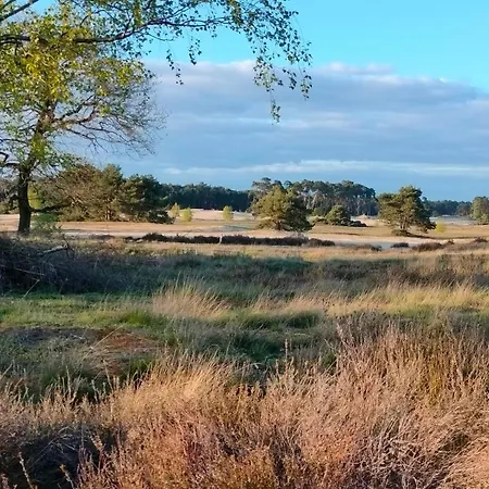 Hammerhoeve 3* Lunteren