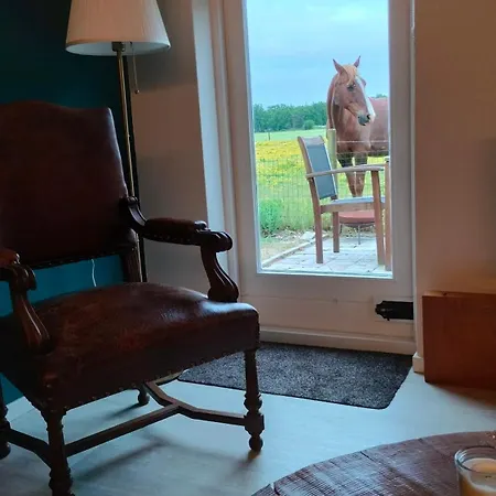 Hammerhoeve Couette-café