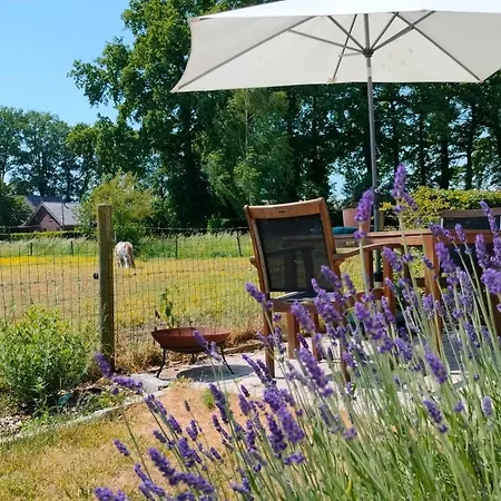 Couette-café Hammerhoeve 3*