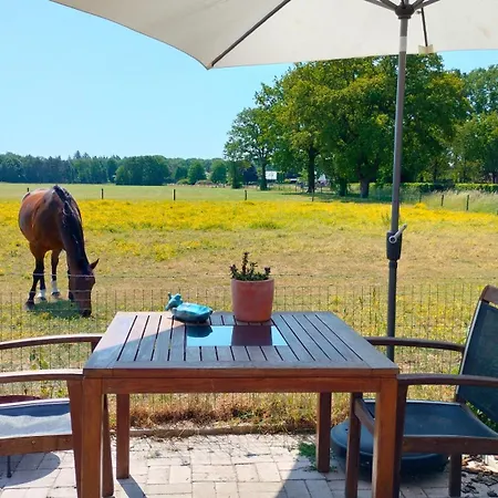 Couette-café Hammerhoeve 3*