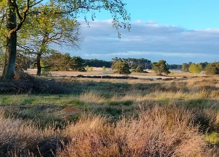 Hammerhoeve 3* Lunteren