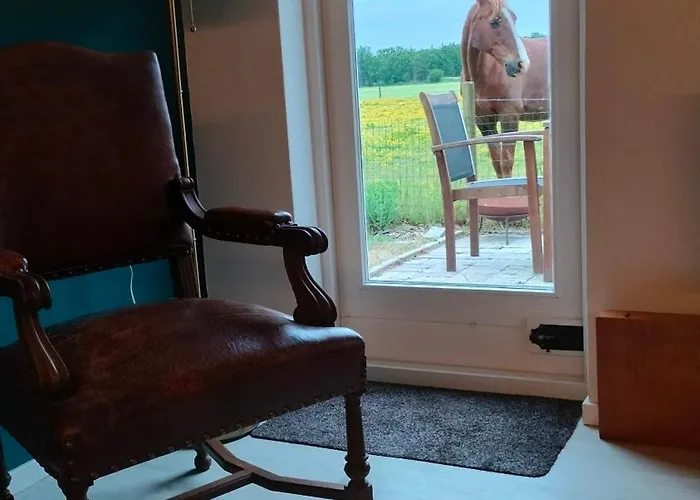 Hammerhoeve Bed & Breakfast