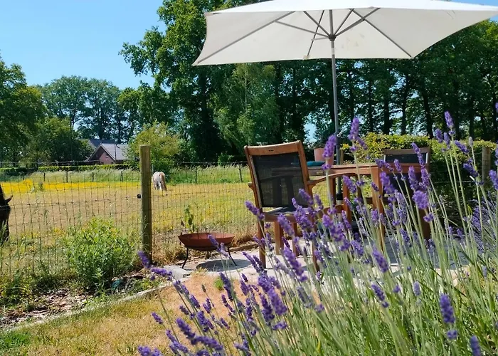 Bed & Breakfast Hammerhoeve 3*