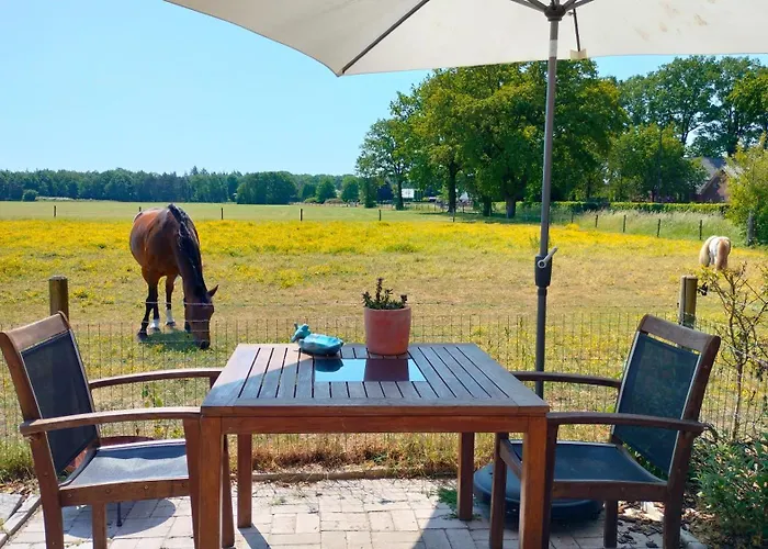 Bed & Breakfast Hammerhoeve 3*