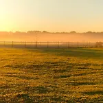 Hammerhoeve Bed & Breakfast Lunteren
