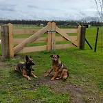 Hammerhoeve 3*