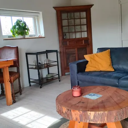 Hammerhoeve 3* Люнтерен