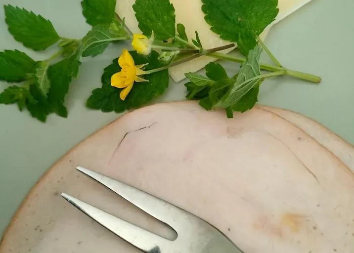 Hammerhoeve 3* Люнтерен