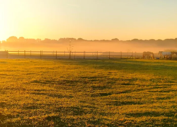 Hammerhoeve Отель типа 
