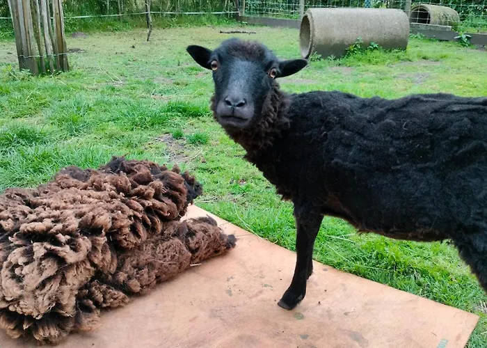 Hammerhoeve 3* Люнтерен